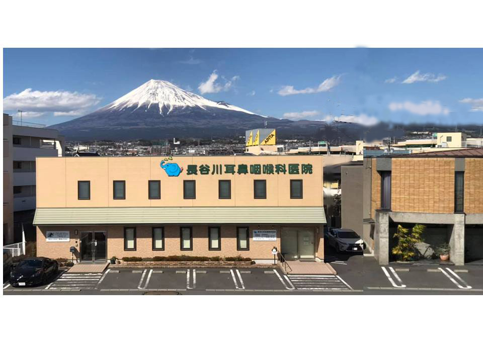 長谷川耳鼻咽喉科医院 | 富士市の長谷川耳鼻咽喉科医院。痛く